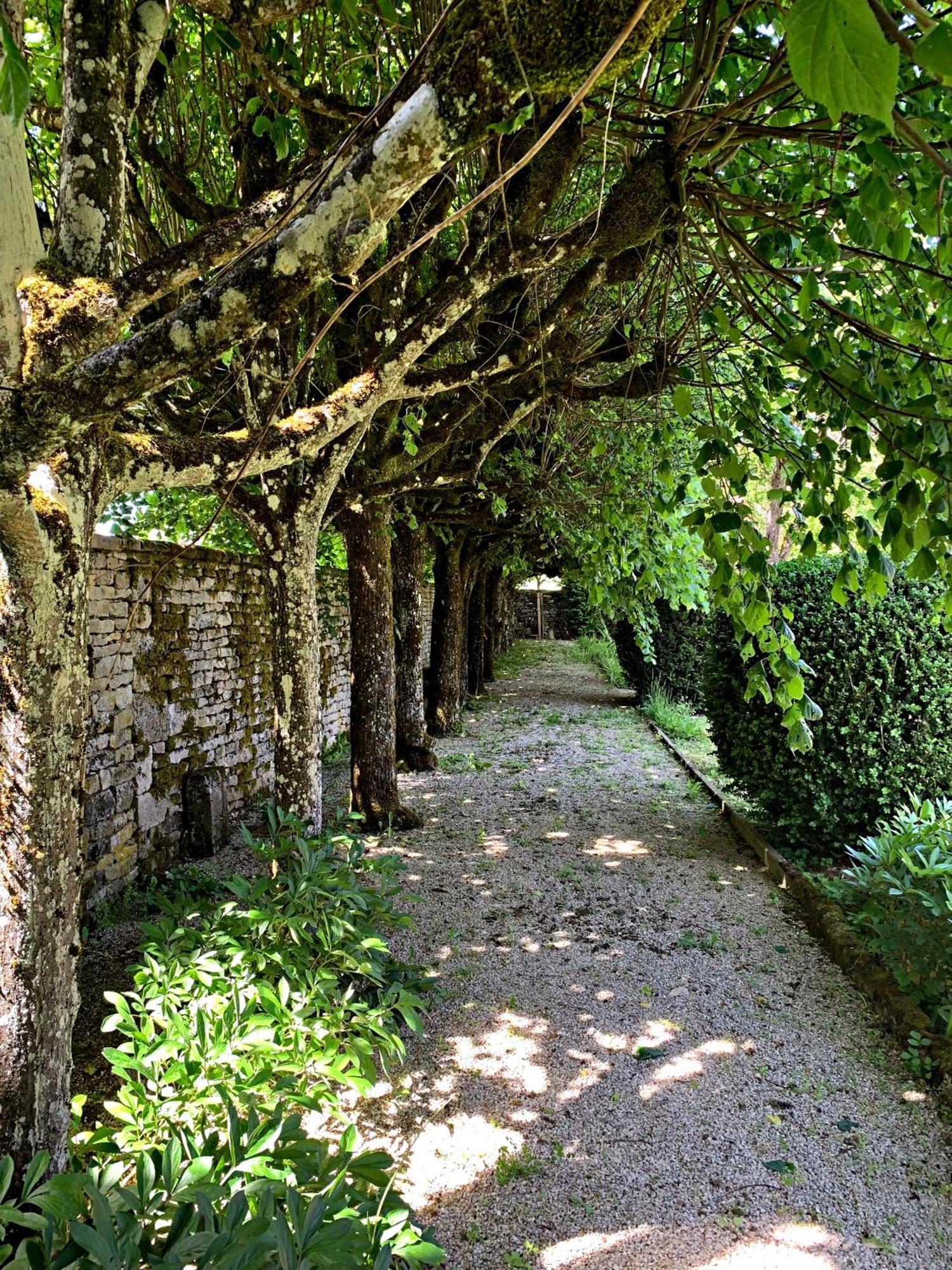 Le Clos Du Marronnier Rivieres-les-Fosses Kültér fotó